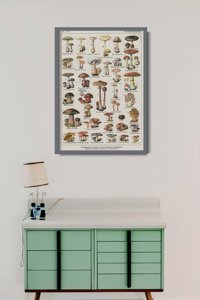 Plakat retro do salonu Botaniczny plakat grzybów pieczarek