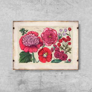 Plakat retro Reprodukcja grafiki różowego kwiatu